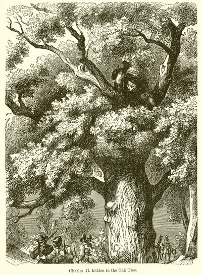 Charles II Hidden in the Oak Tree by English School