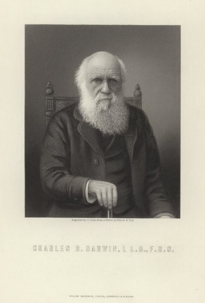 Charles R. Darwin by English School