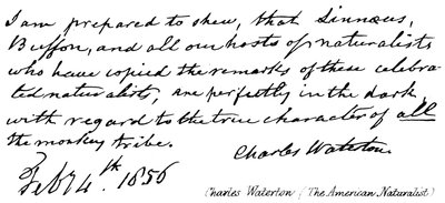 Charles Waterton by English School