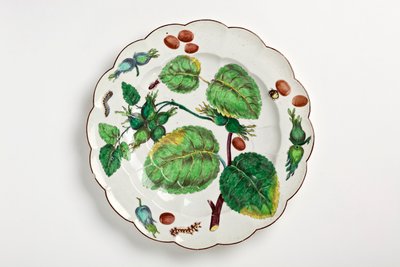 Chelsea plate decorated with botanical illustration of nuts, insects and leaves, 1755 by English School