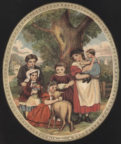 Children looking after their pet lamb by English School