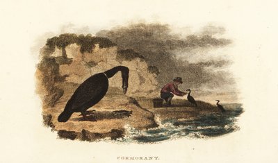 Chinese man cormorant fishing on the banks of a lake by English School
