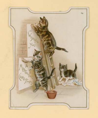 Christmas Cards, with Cats by English School