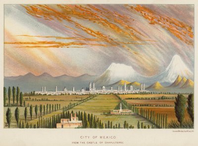City of Mexico, from the Castle of Chapultepec by English School