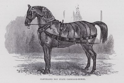Cleveland Bay State Carriage-Horse by English School