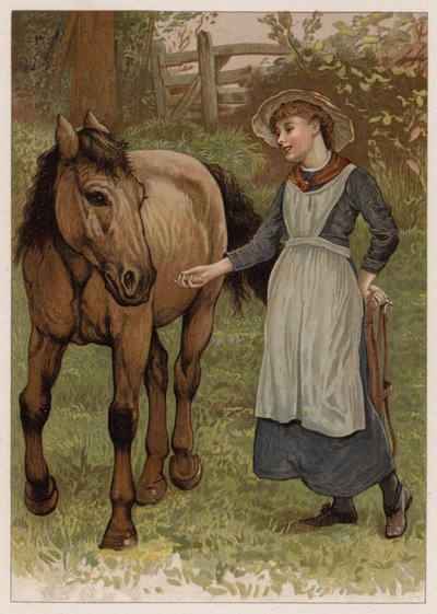 Clever Dobbin by English School