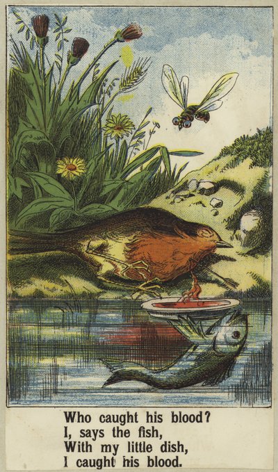 Cock Robin by English School