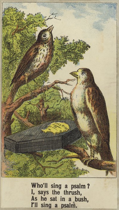 Cock Robin by English School