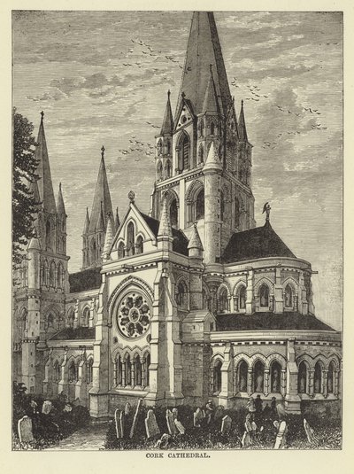 Cork Cathedral by English School