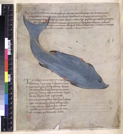 The constellation of Delphinus from 