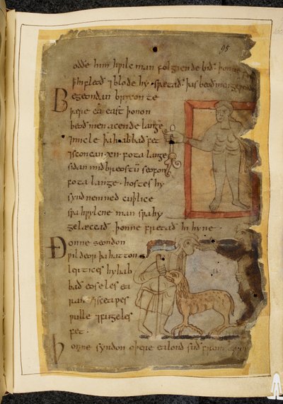 A naked man holding a plant; two men talking, and between them a lertix, a sheep-like beast, illustration from Beowulf, from the 