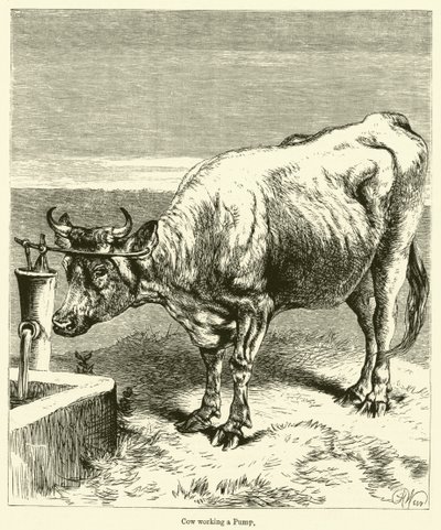 Cow Working a Pump by English School