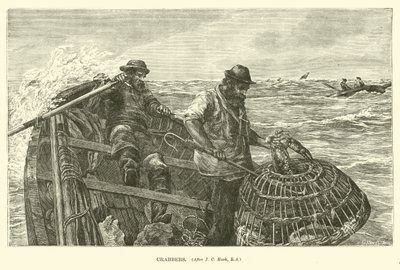 Crabbers by English School