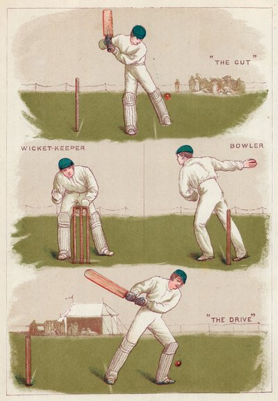 Cricket by English School