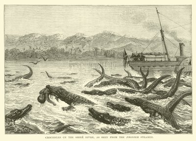 Crocodiles on the Shire River, as seen from the Pioneer Steamer by English School