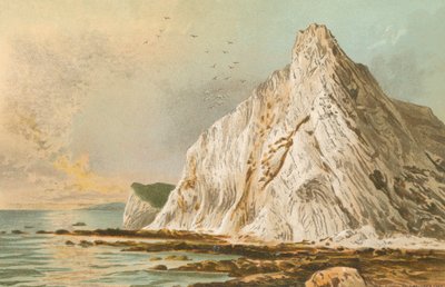 Culver Cliff--Isle of Wight by English School