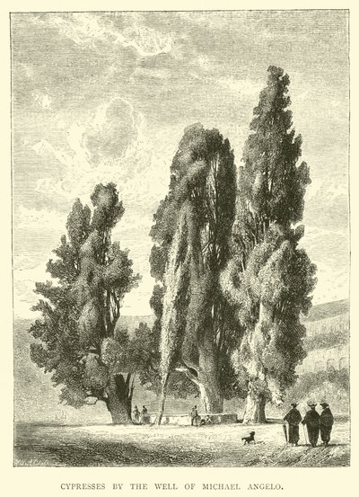 Cypresses by the Well of Michael Angelo by English School