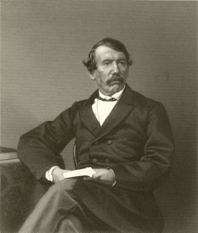 David Livingstone by English School