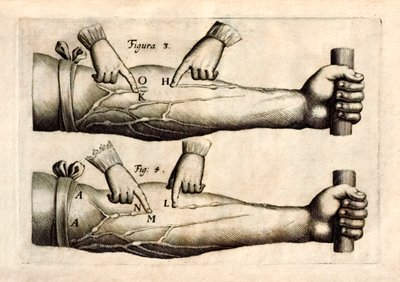 De Motu Cordi, set Sanguinis in Animalibus