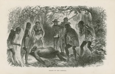 Death of the Gorilla by English School