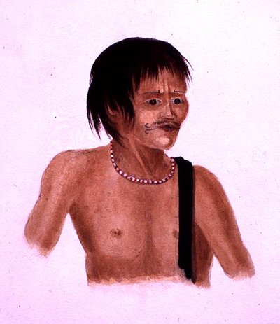 Demerara by English School