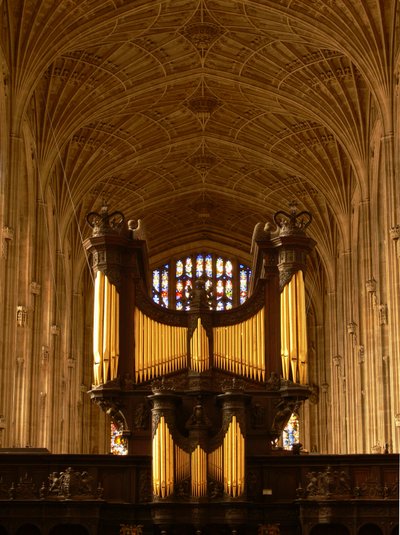 View of the organ and the vaults by English School
