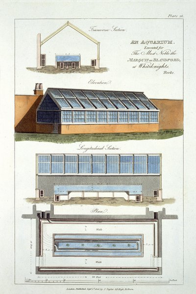 Design for An Aquarium, executed for The Marquis of Blandford at Whiteknights, 1806 by English School