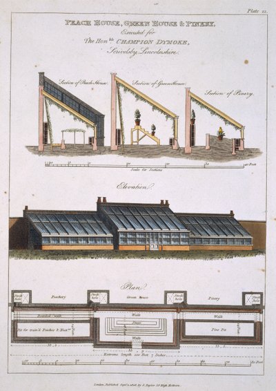 Design for Peach House, Greenhouse and Pinery, 1806 by English School