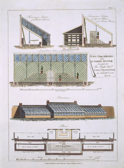 Design for Two Peacheries and a Greenhouse, 1806 by English School