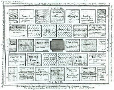 Design for a Completed Kitchen Garden, from New Principles of Gardening, by Betty Langley by English School