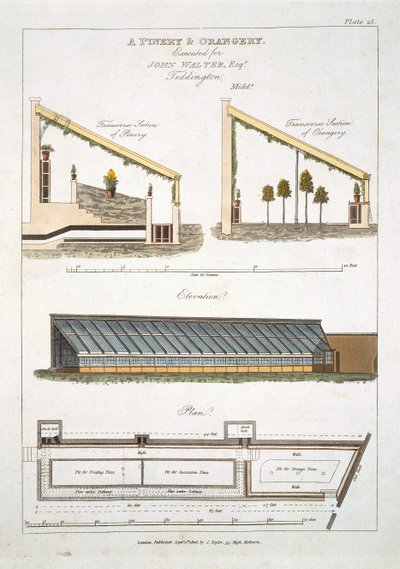 Design for a Pinery and Orangery at Teddington, 1806 by English School