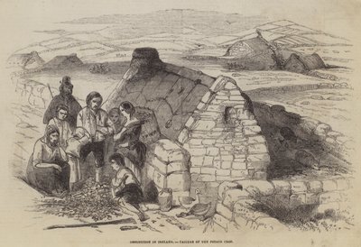 Destitution in Ireland, Failure of the Potato Crop by English School