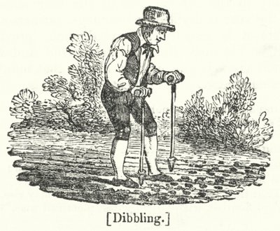 Dibbling by English School