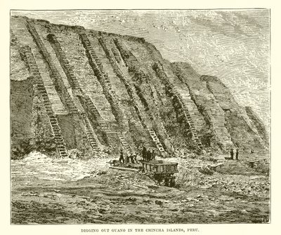 Digging out Guano in the Chincha Islands, Peru by English School