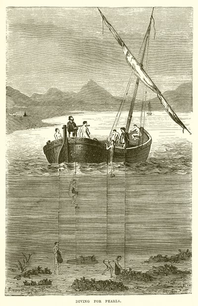 Diving for Pearls by English School