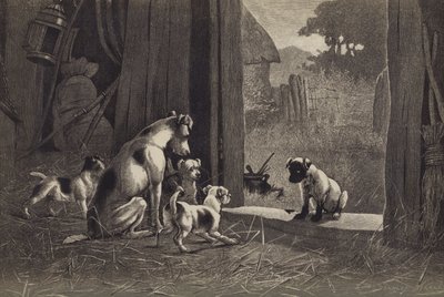 Dog by English School