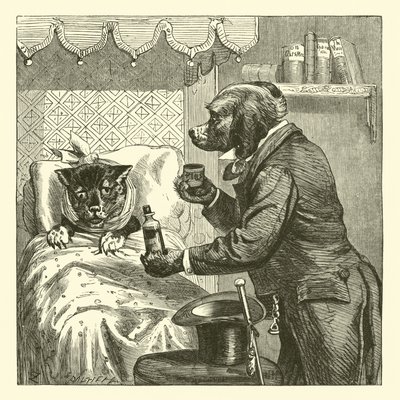 Dog Giving Pills to Sick Cat by English School