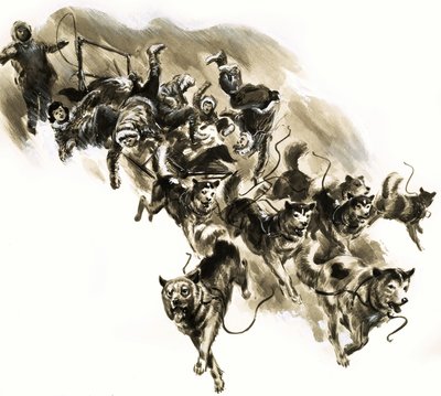 Dog sled disaster by English School