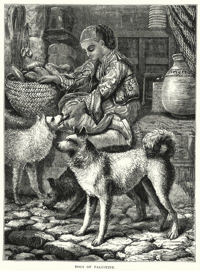 Dogs of Palestine by English School