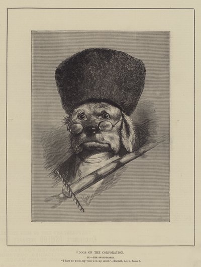 Dogs of the Corporation by English School