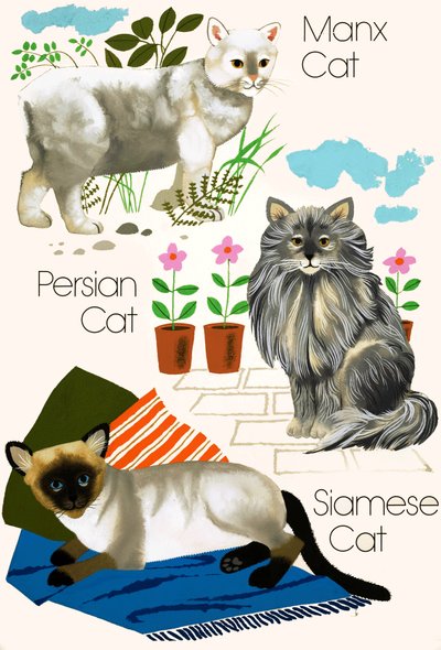 Domestic Cats by English School