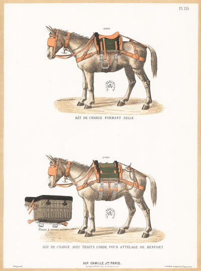Donkeys wearing saddles by English School