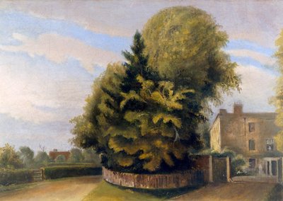 Down House from the North by English School