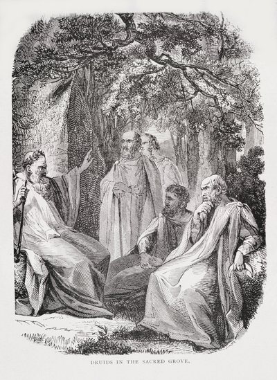 Druids in the Sacred Grove, from The History of France, by Emile de Bonnechose by English School