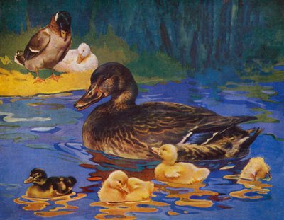 Ducks and ducklings by English School