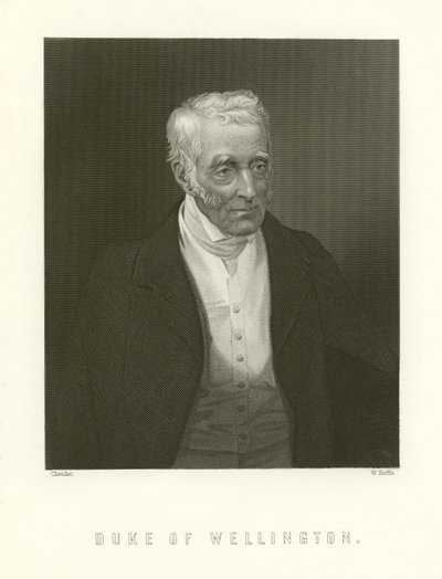 Duke of Wellington by English School