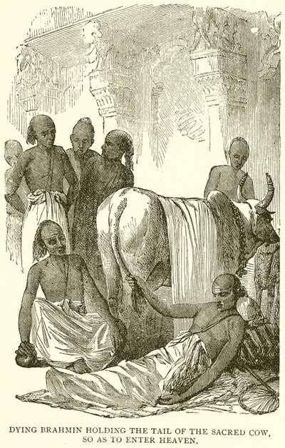 Dying Brahmin Holding the Tail of the Sacred Cow, So as to Enter Heaven by English School