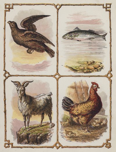 Eagle, Fish, Goat, Hen by English School