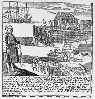 Early Fishing Stages, illustration from Volume IV of 