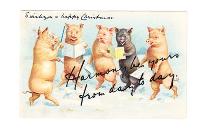 Edwardian Christmas Postcard of Five Pigs Having a Musical Session, c.1910 by English School